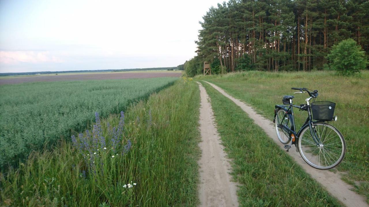 Domek Letniskowy Dario Ińsko Exterior foto